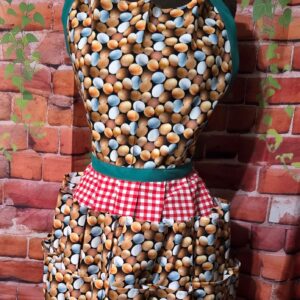 Egg Gathering Apron: Mixed Eggs on Red Check plaid with 16 pockets and top