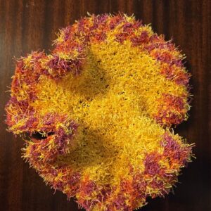 Squeaky Clean Re-Usable Scrubbies: Yellow with mix border